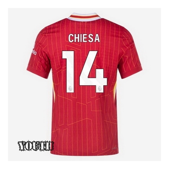 2024/2025 Federico Chiesa #14 Home Youth Soccer Jersey